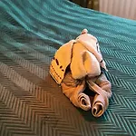 Apartman Spokojny Wypoczynek 5